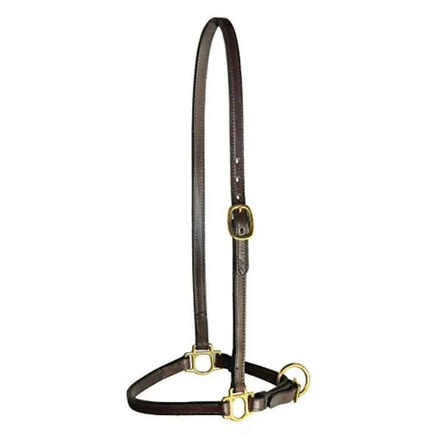 3/4 Grooming Bridle Leather Halter for horse training. Premium bridle, leather black, durable and adjustable with solid brass hardware