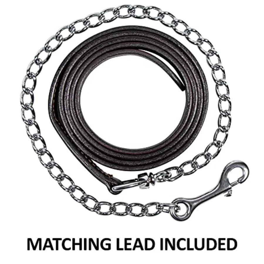 Beaded Silver Plated Show Halter for Horses with Lead. Dark Oiled Leather with Cream Accent Stitching. Silver Plated Cheeks, Nose, & Buckles