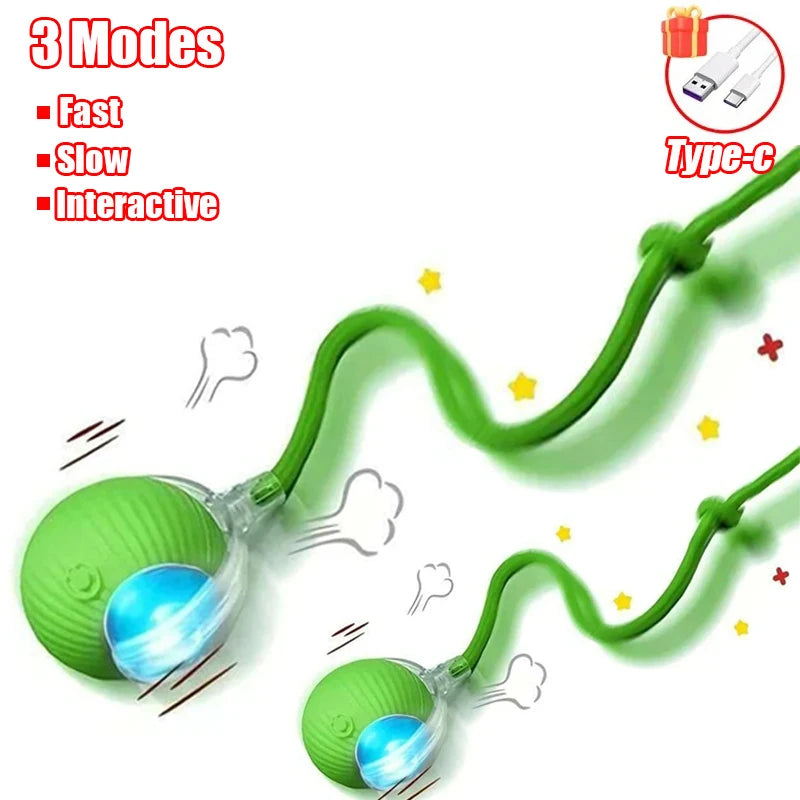 New Cat Interactive Ball Toy with Automatic Rolling Ball & Faux Tail. Rechargeable, Smart Pet Electric Toy for Dogs & Cats