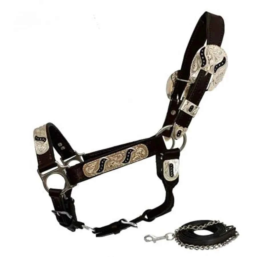 Yearling Leather Show Halter for Equestrian Use. Premium Leather is Black with Engraved Silver Hardware for Elegant Durability