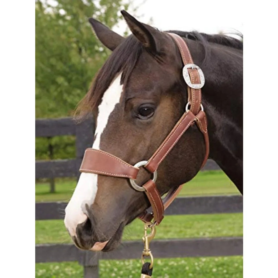 Bronc Halter for horse training. Leather material, sunset color, durable, and adjustable fit.