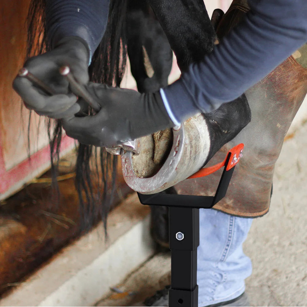 Metal Horse Hoof Stand for Blacksmith or Farrier.  Hoof Jack. Farrier Stand for Veterinary Instruments