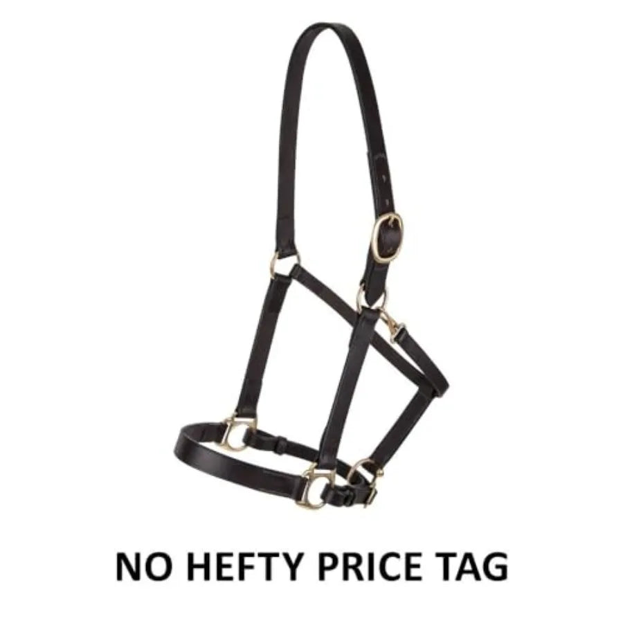 Horse halter for daily use. Premium Lancaster leather. Classic brown with Adjustable fit with solid brass hardware.