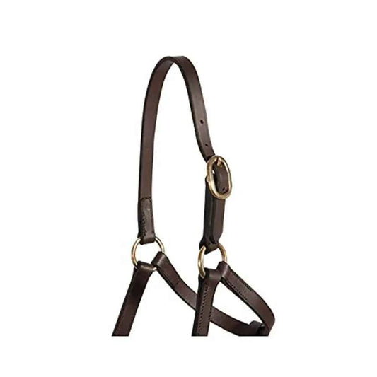 Premier Leather Foal Halter for Horses - Weanling Premium Grade A Leather. Brown Color, Adjustable Curb for Customized Fit. Growth Support