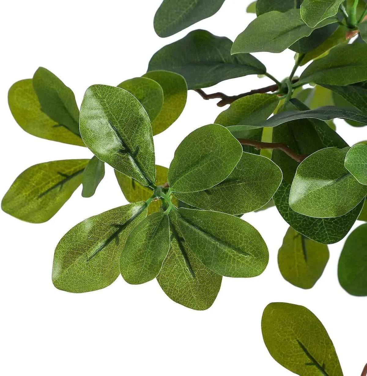 Artificial Plants Indoor, 5/6 ft Fake Black Olive Tree with Pot. Fake Tree Artificial Trees for Home, Office.