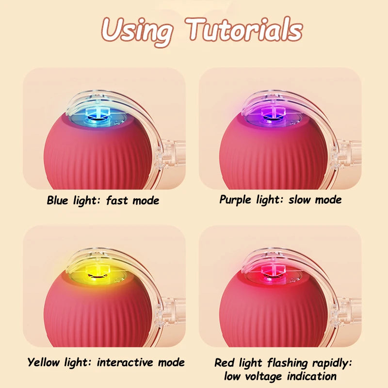 New Cat Interactive Ball Toy with Automatic Rolling Ball & Faux Tail. Rechargeable, Smart Pet Electric Toy for Dogs & Cats