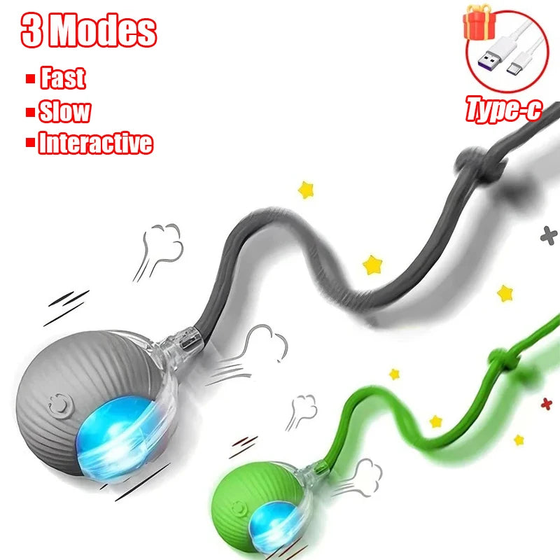 New Cat Interactive Ball Toy with Automatic Rolling Ball & Faux Tail. Rechargeable, Smart Pet Electric Toy for Dogs & Cats