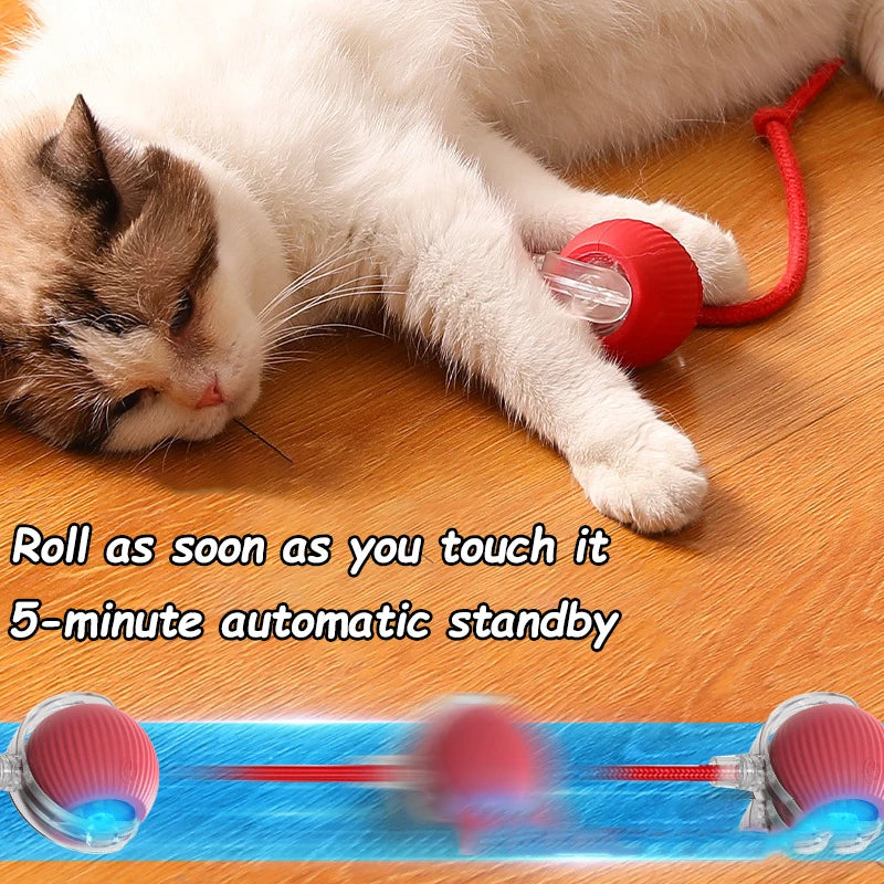New Cat Interactive Ball Toy with Automatic Rolling Ball & Faux Tail. Rechargeable, Smart Pet Electric Toy for Dogs & Cats