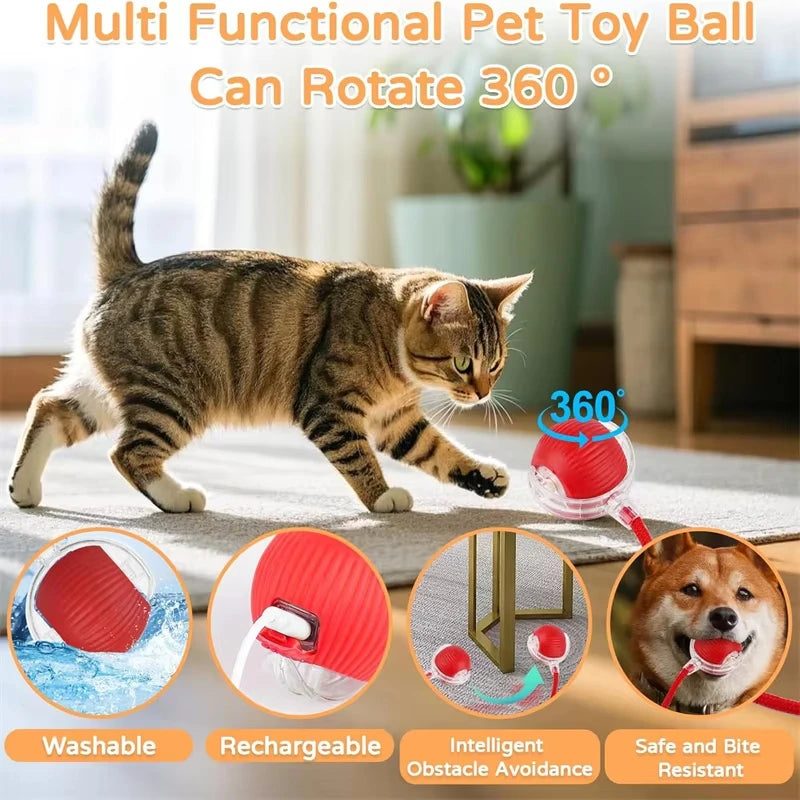 New Cat Interactive Ball Toy with Automatic Rolling Ball & Faux Tail. Rechargeable, Smart Pet Electric Toy for Dogs & Cats