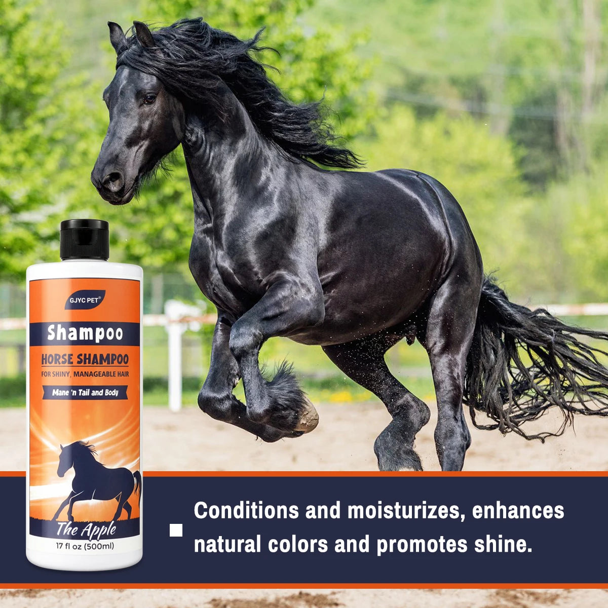 Horse Shampoo with Natural Plant Extracts, Deep Cleansing, Nourishing, Moisturizing for Smooth Coat & Adds Shine. Equestrian Grooming