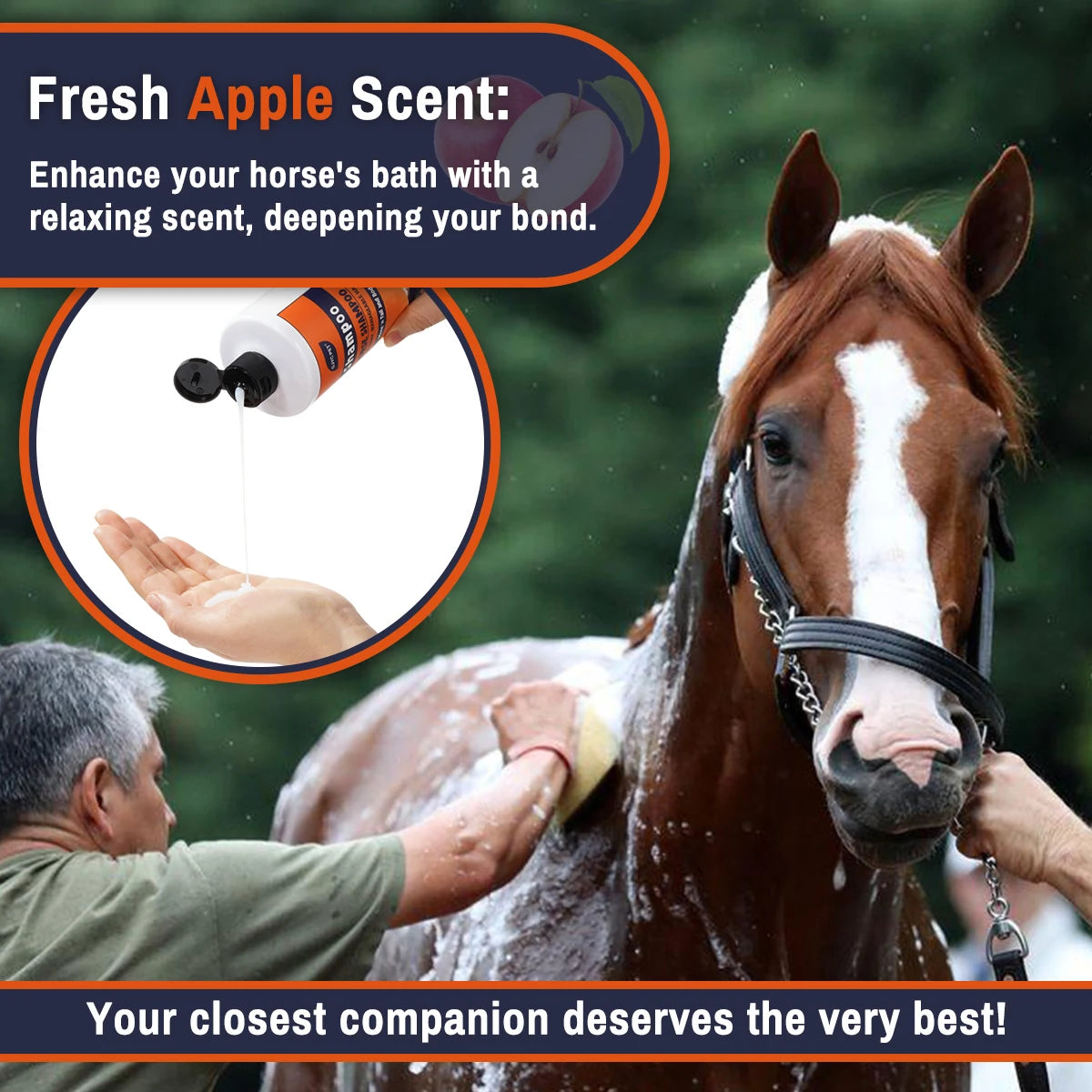 Horse Shampoo with Natural Plant Extracts, Deep Cleansing, Nourishing, Moisturizing for Smooth Coat & Adds Shine. Equestrian Grooming