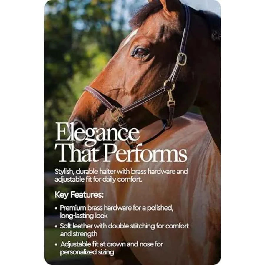 Fremont Soft Leather Horse Halter for Everyday Use. Genuine Leather - Black. Fully Adjustable with Brass Hardware & Contrast Stitching