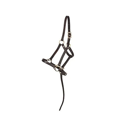 Premier Leather Foal Halter for Horses - Weanling Premium Grade A Leather. Brown Color, Adjustable Curb for Customized Fit. Growth Support