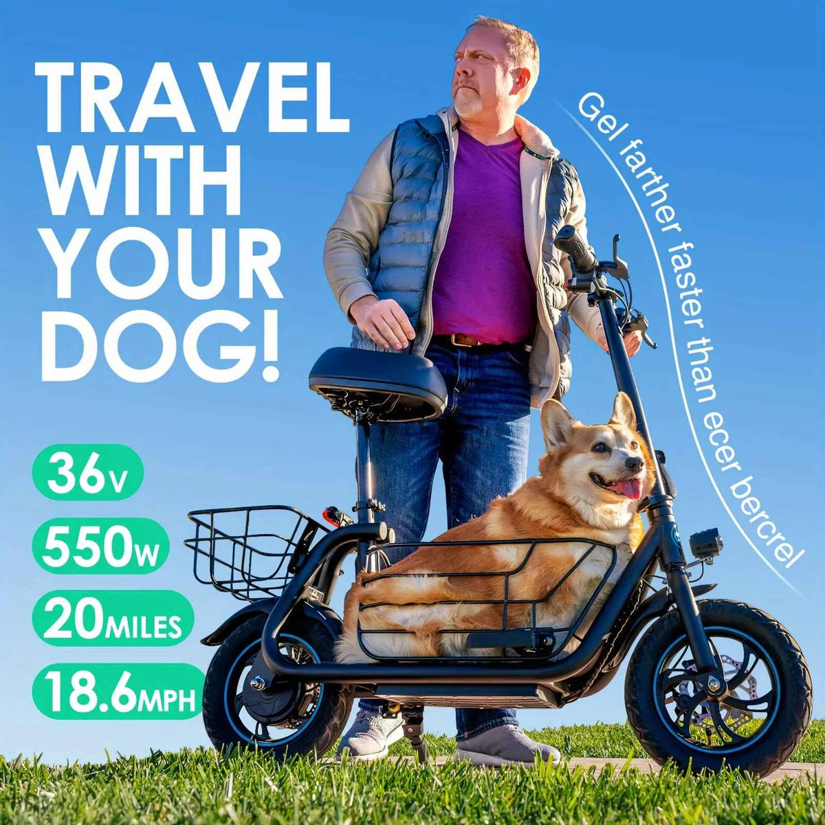 Gyroor Electric Scooter with Basket for Pet, 3 Riding Modes, Foldable Electric Scooter for Adults - up to 20 Miles, 18.6MPH