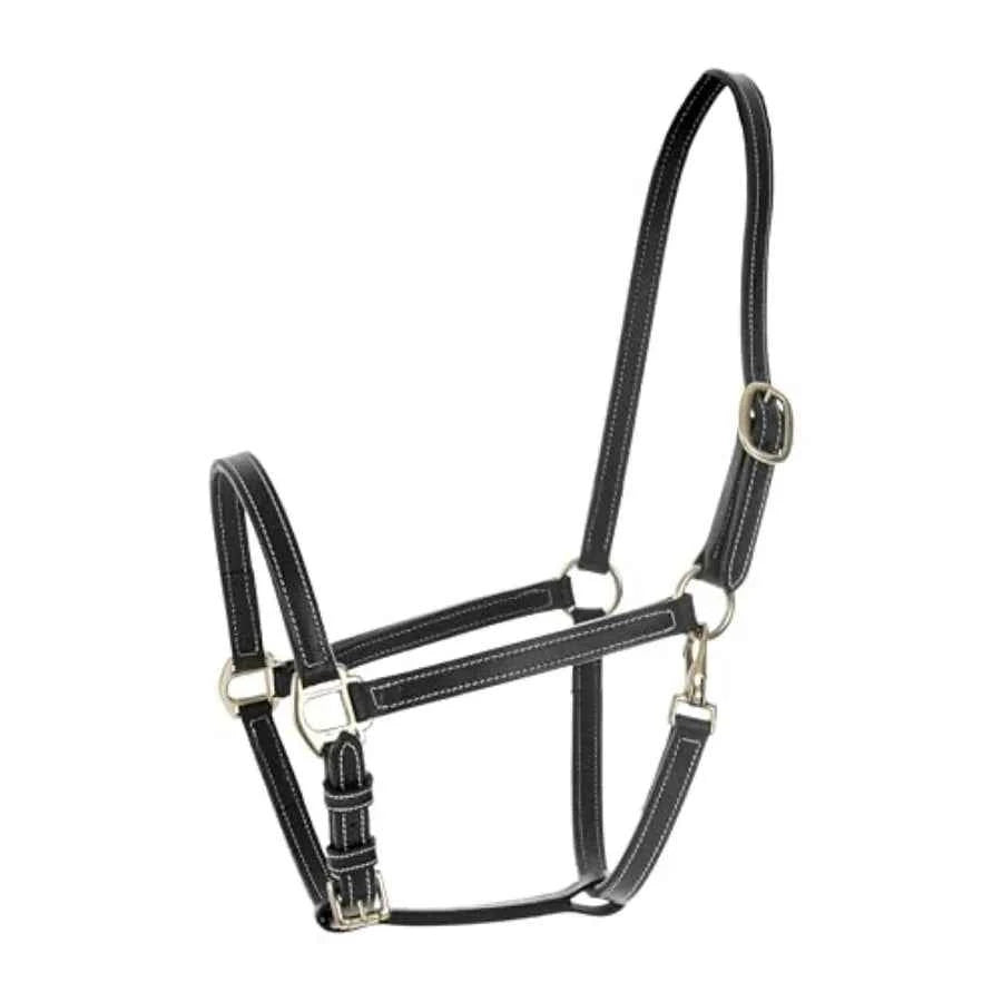 Fremont Soft Leather Horse Halter for Everyday Use. Genuine Leather - Black. Fully Adjustable with Brass Hardware & Contrast Stitching
