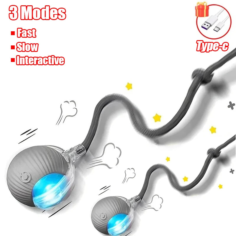 New Cat Interactive Ball Toy with Automatic Rolling Ball & Faux Tail. Rechargeable, Smart Pet Electric Toy for Dogs & Cats