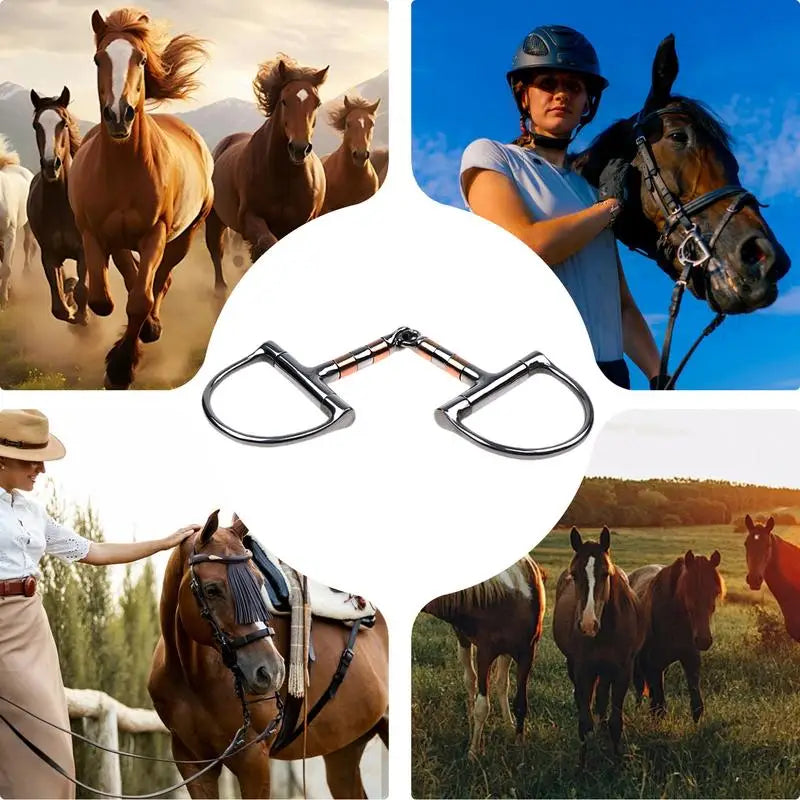 Horse Snaffle Bit D Ring. Mouth Bit Roller With Copper Single Joint. Horse Bit D-Ring Snaffle Bits For Equestrian Supplies