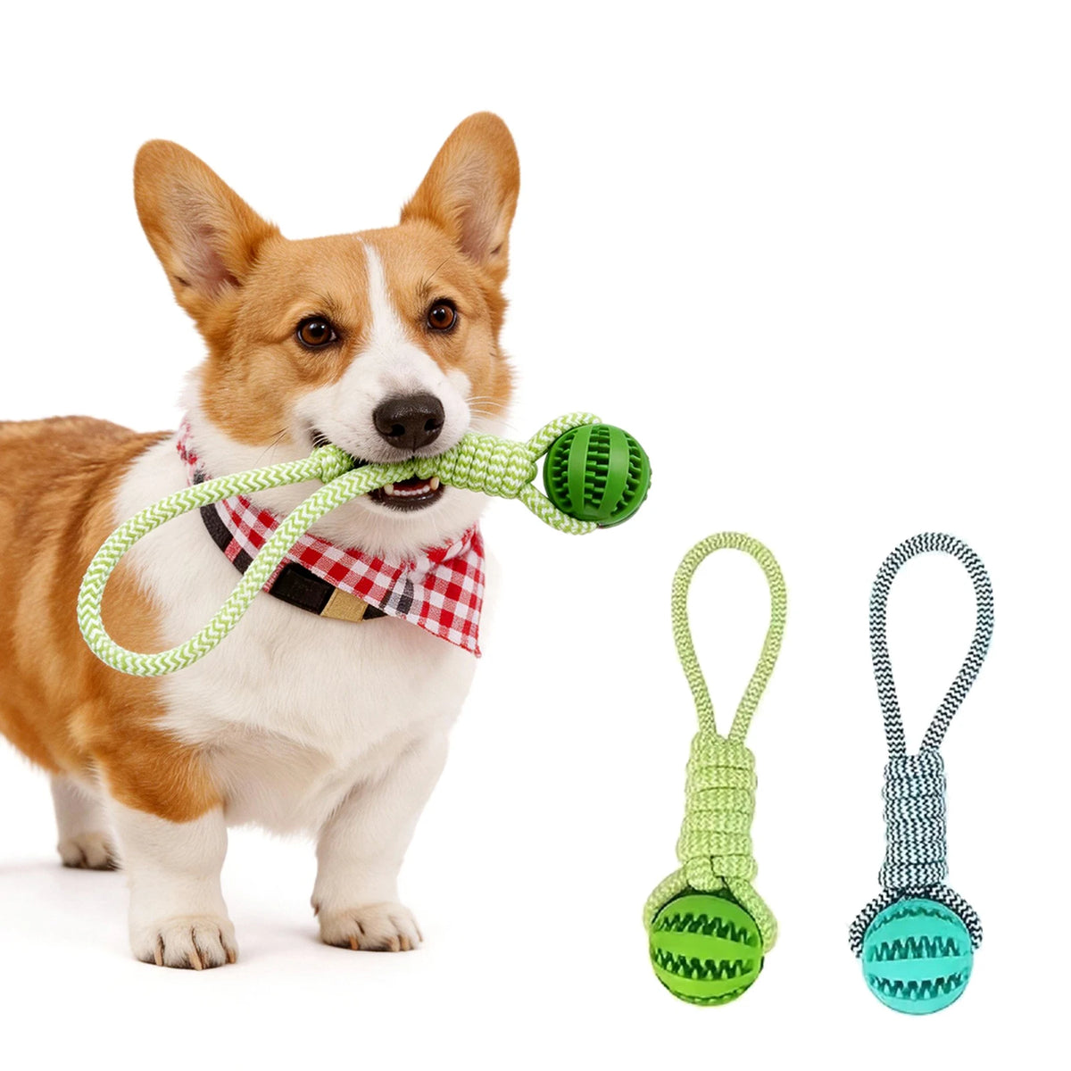 Dog Chew Toy with Cotton Rope. Tug Toy with Treat Dispensing Rubber Ball. Durable Bite Resistant Teeth Cleaning. Interactive Training Toy for Puppy, Small, and Medium Dogs. Green