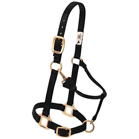 Horse halter for outdoor use. Nylon material, black color, & adjustable fit with durable hardware.