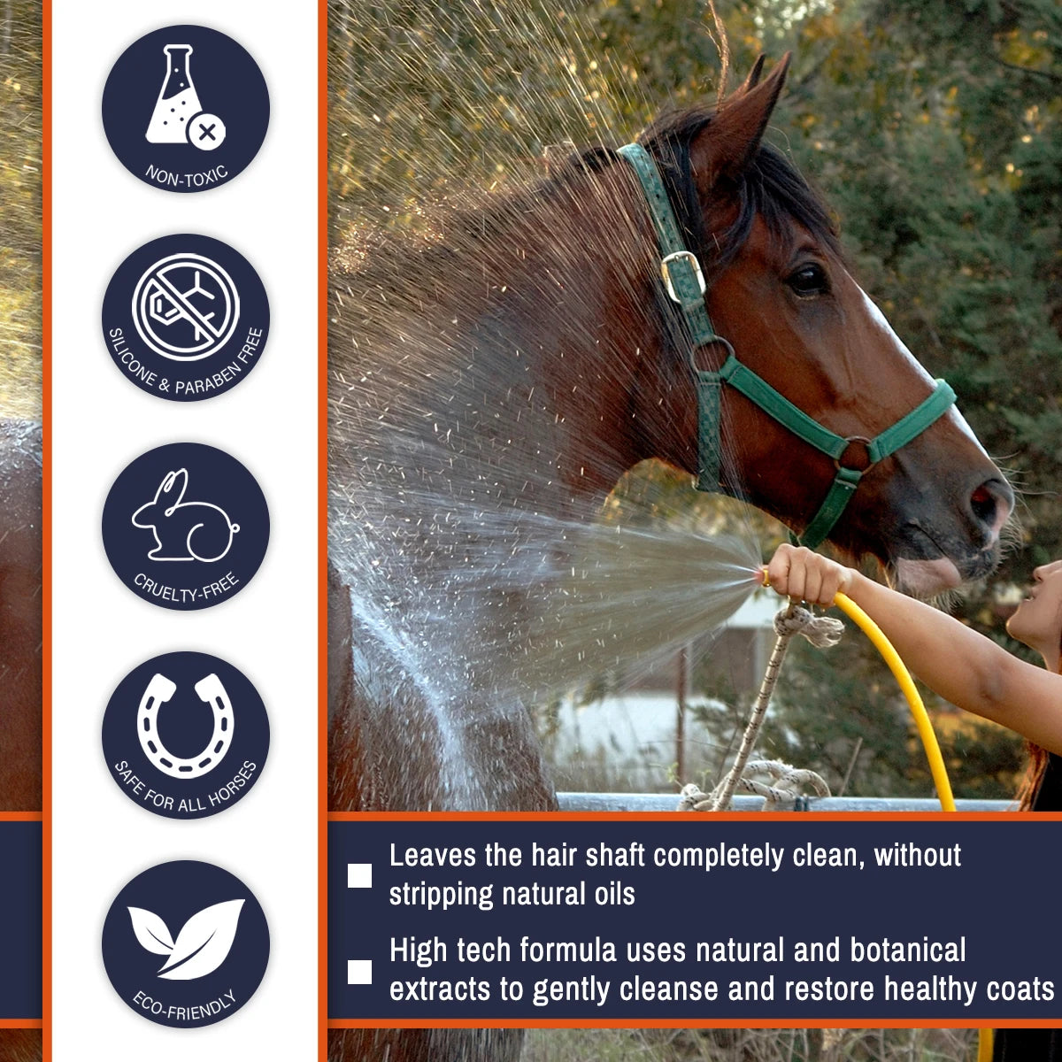 Horse Shampoo with Natural Plant Extracts, Deep Cleansing, Nourishing, Moisturizing for Smooth Coat & Adds Shine. Equestrian Grooming