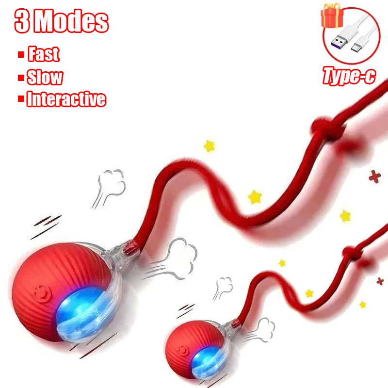 New Cat Interactive Ball Toy with Automatic Rolling Ball & Faux Tail. Rechargeable, Smart Pet Electric Toy for Dogs & Cats