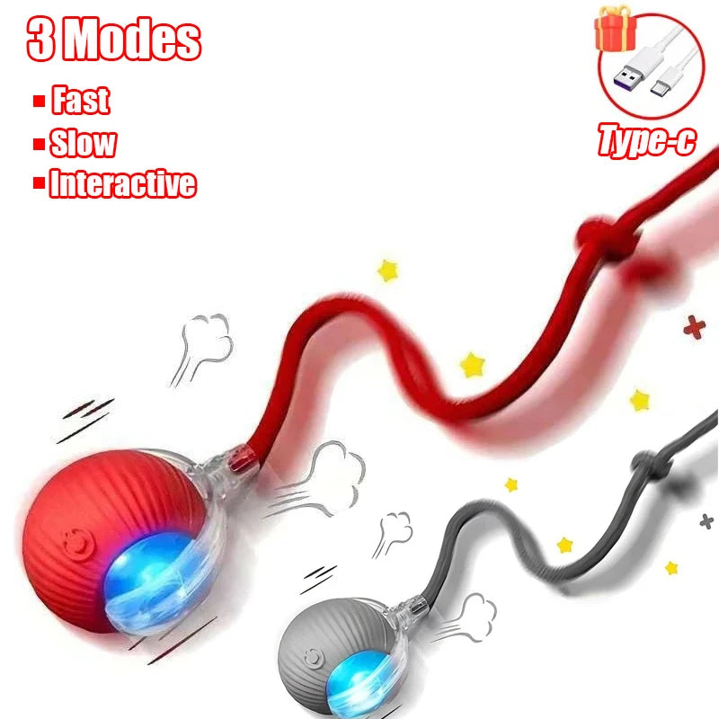 New Cat Interactive Ball Toy with Automatic Rolling Ball & Faux Tail. Rechargeable, Smart Pet Electric Toy for Dogs & Cats