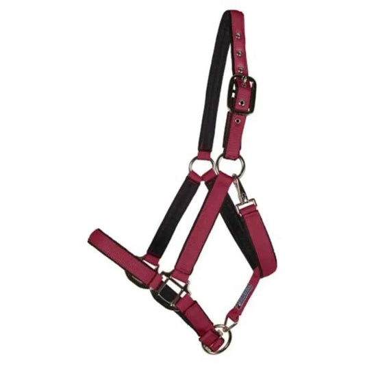 Horse halter for daily use. Nylon material, black color, fully padded to avoid rubs. Has an adjustable crown and curb.