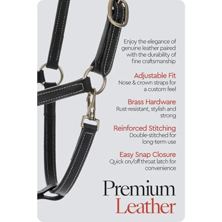 Fremont Soft Leather Horse Halter for Everyday Use. Genuine Leather - Black. Fully Adjustable with Brass Hardware & Contrast Stitching