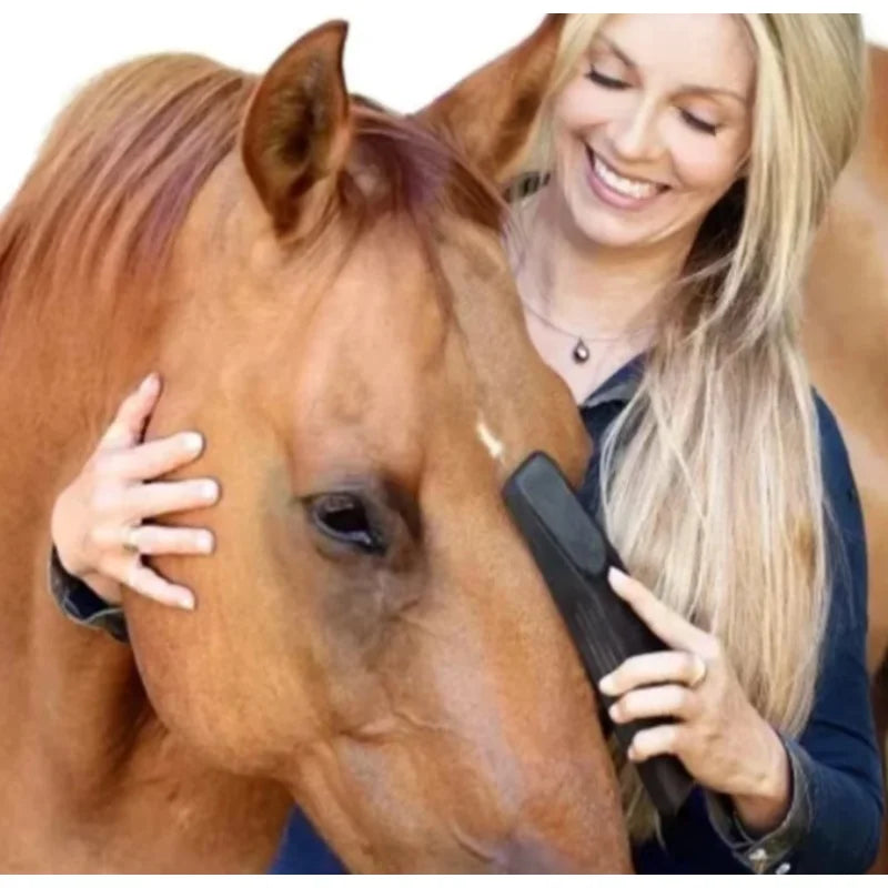 Equestrian Horse Massage Brushes. Animal Body Grooming, Bath Cleaning Tools, Hair Finishing Supplies for Horse Care