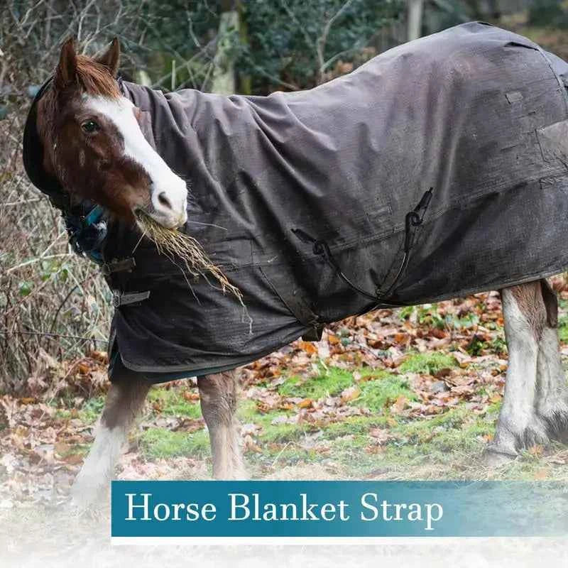Horse Blanket Sheet with Elastic Leg Straps, Replacement Horse Blanket. Leg Strap Comfortable. Animal Sheet Fixing Belt For Outdoor.