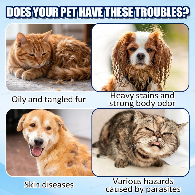 Hypoallergenic Shampoo & Conditioner For All Breeds Of Cats And Dogs (Suitable For Border Collies, Poodles, Etc.)