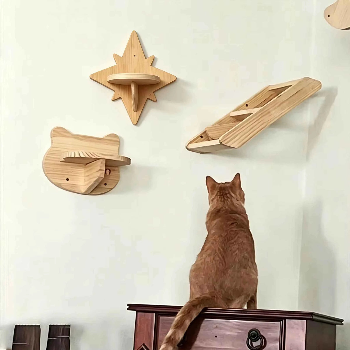 Wall Mounted Cat Shelves Set. Moon Shape Hammock. Star Perches &Climbing Steps.  For  Cats Indoor, Res,, Playing or Sleeping