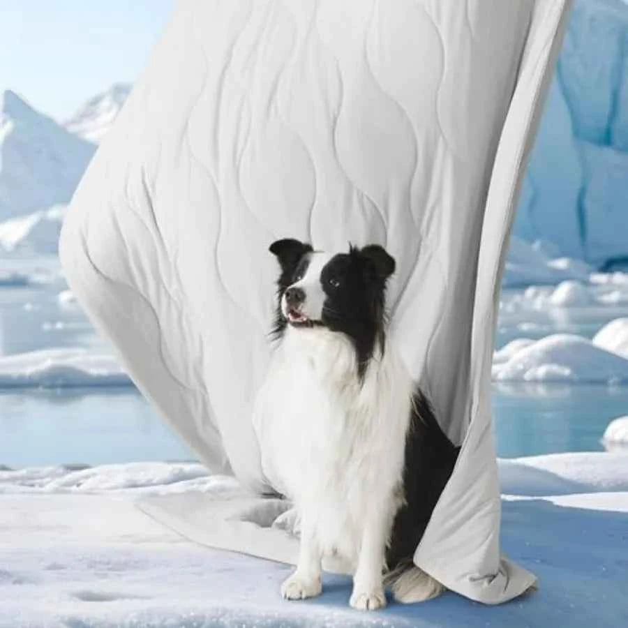 Breathable Summer Washable Cold Pet Throw