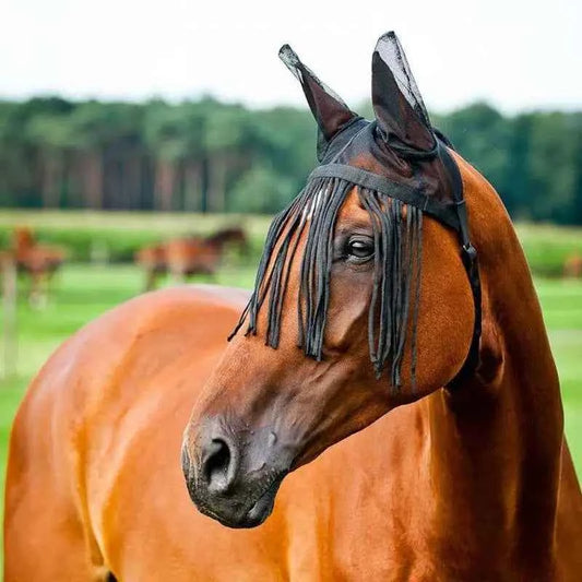 Horse Fly Cover With Ear Mesh. Adjustable with Tassels & UV Shield.