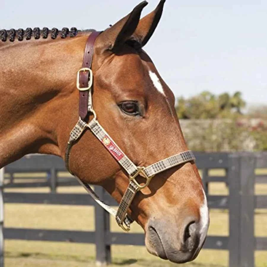 Horse halter application: Nylon with breakaway leather crown. Traditional plaid color. Safety-focused design