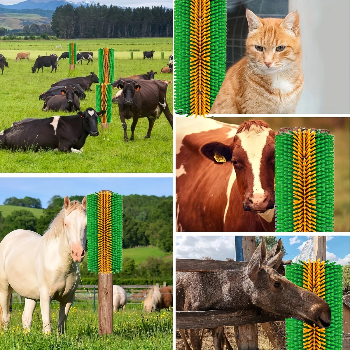 Livestock Scratching Brush - Horse  or Cows Brushes for Grooming and Itch Relief. Equine, Cattle, Goat, Sheep, & Pig Massage Brushes