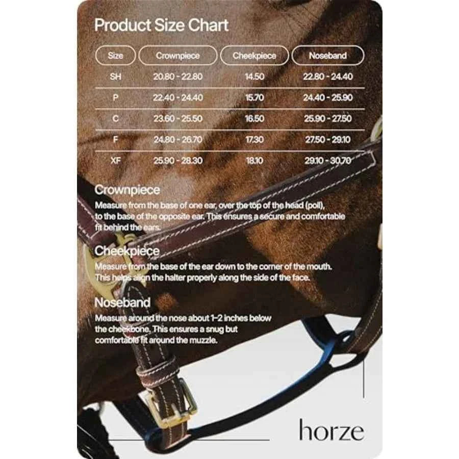 Fremont Soft Leather Horse Halter for Everyday Use. Genuine Leather - Black. Fully Adjustable with Brass Hardware & Contrast Stitching