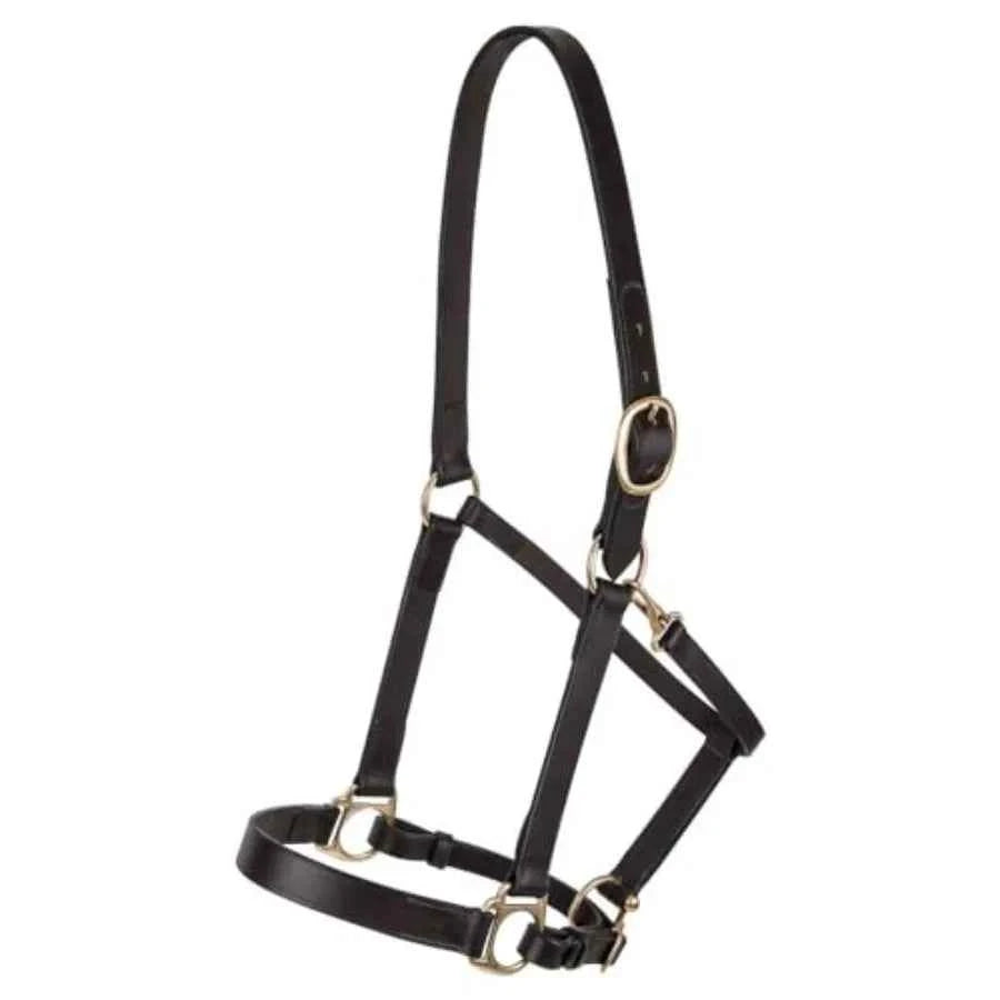 Horse halter for daily use. Premium Lancaster leather. Classic brown with Adjustable fit with solid brass hardware.