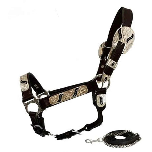 Yearling Leather Show Halter for Equestrian Use. Premium Leather is Black with Engraved Silver Hardware for Elegant Durability