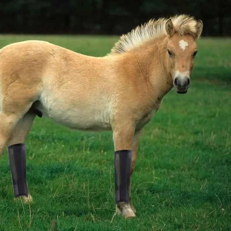Fly Boots For Horses, Set Of 4 PCS. Reusable For Horses with  Breathable Design. Horse Boots Fly Leggings For Equine