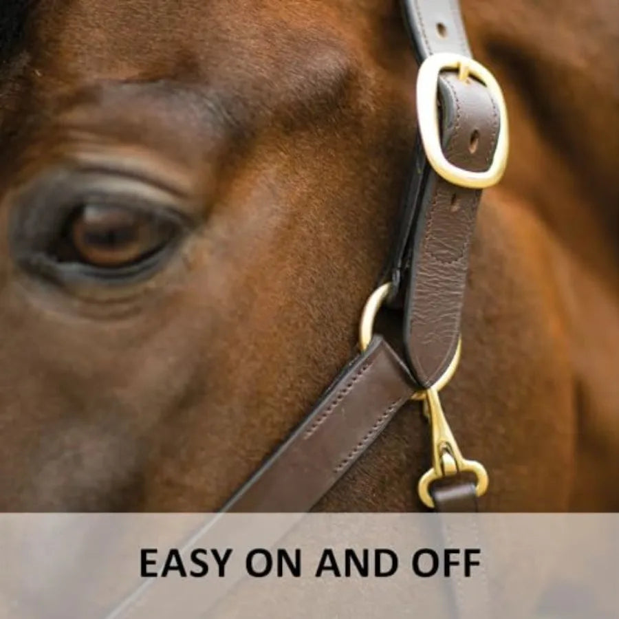 Horse halter for daily use. Premium Lancaster leather. Classic brown with Adjustable fit with solid brass hardware.